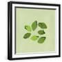 Black Frame