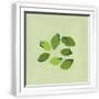 White Frame