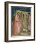 Joachim Among the Shepherds, C.1305 (Detail)-Giotto di Bondone-Framed Giclee Print