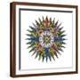 Brown Frame