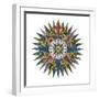 White Frame