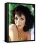 Joan Collins-null-Framed Stretched Canvas