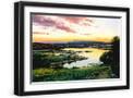 Black Frame