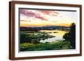 Brown Frame