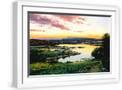 White Frame