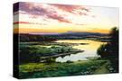 Stretched Canvas