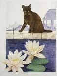 Siamese cat by a swimming pool-Joan Freestone-Stretched Canvas