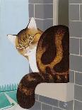 Siamese cat by a swimming pool-Joan Freestone-Stretched Canvas