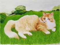 Ginger Cat in Field-Joan Freestone-Giclee Print