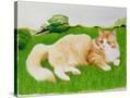 Stretched Canvas