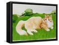 Framed Canvas