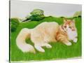 Stretched Canvas
