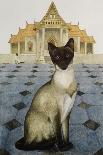 Siamese cat by a swimming pool-Joan Freestone-Giclee Print