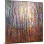 Wood Mount