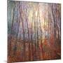 Wood Mount