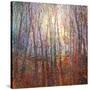 Stretched Canvas