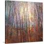 Stretched Canvas