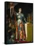 Joan of Arc at the Coronation of King Charles VII at Reims Cathedral, July 1429-Jean-Auguste-Dominique Ingres-Framed Stretched Canvas