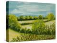 Stretched Canvas