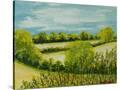 Stretched Canvas