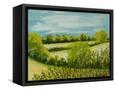 Canvas Black