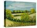 Stretched Canvas