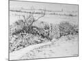 Wood Mount