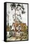 Canvas Black