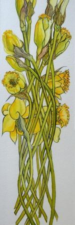 Daffodils,2008,
