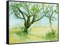Canvas Black