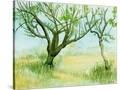 Stretched Canvas