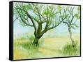 Canvas Black