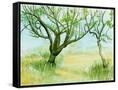 Canvas Black
