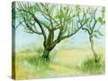 Stretched Canvas