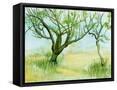 Canvas Black