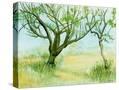 Stretched Canvas