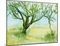 Wood Mount