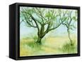 Canvas Black