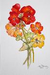 Nasturtiums, 2005-Joan Thewsey-Giclee Print