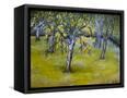 Canvas Black