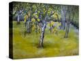 Stretched Canvas
