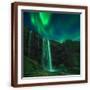 Brown Frame