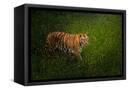 Canvas Black