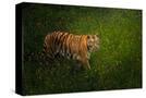 Stretched Canvas