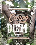 Carpe Diem-Joana Joubert-Framed Giclee Print
