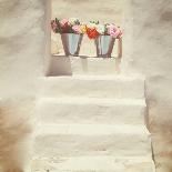 A Staircase of a Greek, White House with Two Bunches of Flowers-Joana Kruse-Photographic Print