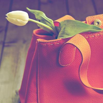 A Tulip in a Handbag