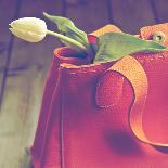 A Tulip in a Handbag-Joana Kruse-Photographic Print