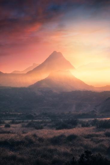Photographic Print, , large