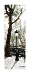 Lamppost-Joane Mcdermott-Art Print